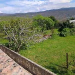 Lavanda *